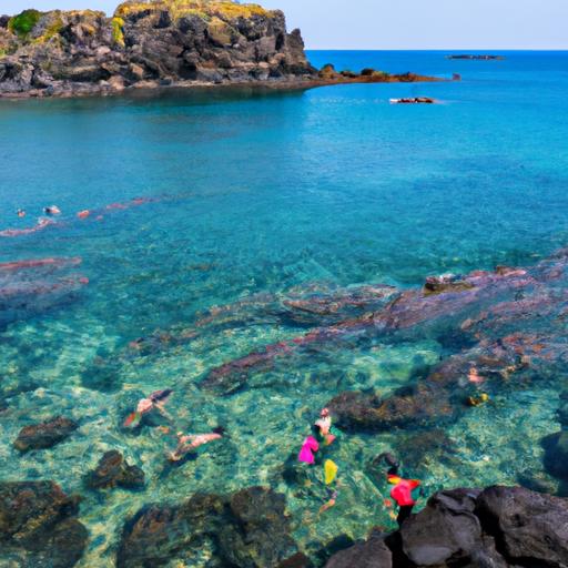 Một nhóm du khách lặn ngắm san hô trong nước trong xanh của đảo Phú Quý