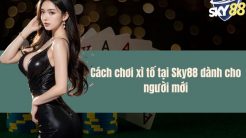 Cách chơi xì tố tại Sky88 dành cho người mới