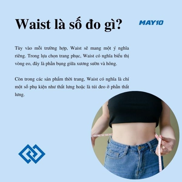 Waist là gì